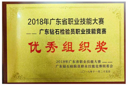 NGTC,2018年广东省职业技能大赛