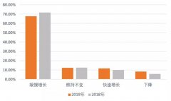 市场｜IGI关于2019年中国珠宝市场信心及趋势报告